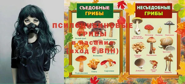 дживик Волоколамск