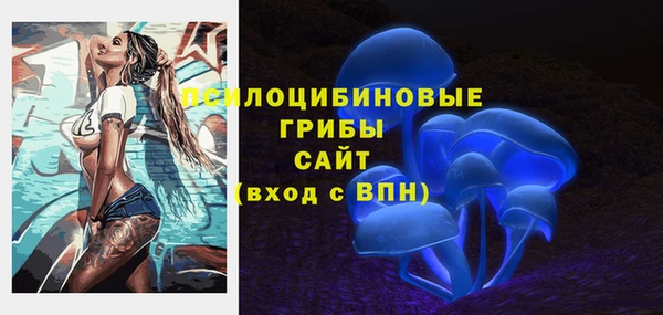 шишки Нефтекумск