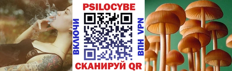 где купить наркоту  Новомосковск  Псилоцибиновые грибы прущие грибы 