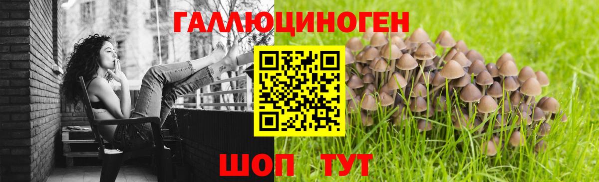 Новомосковск  Галлюциногенные грибы Magic Shrooms  Вход с VPN 